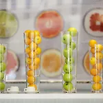 Ibis Styles Aix Les Bains Domaine De Marlioz מלון אקס-לה-באינס