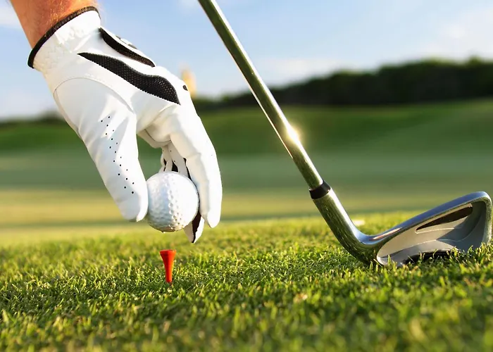 Ibis Styles Aix Les Bains Domaine De Marlioz Hotel