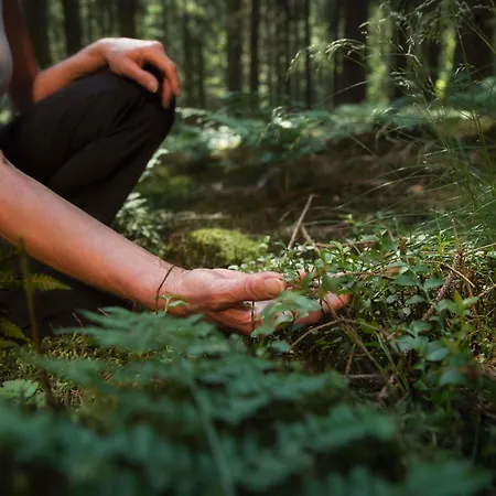 酒店 Ibis Styles Aix Les Bains Domaine De Marlioz 艾克斯莱班