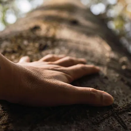 Ibis Styles Aix Les Bains Domaine De Marlioz Aix-les-Bains