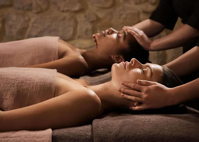 Ibis Styles Aix Les Bains Domaine De Marlioz Hotel