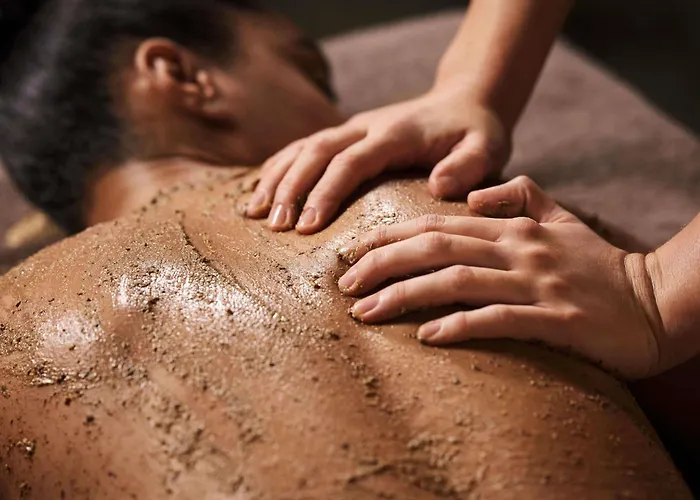 Ibis Styles Aix Les Bains Domaine De Marlioz 3*